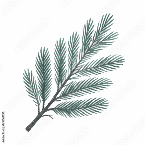 Watercolor Illustration of a Pine Branch with Green Needles.