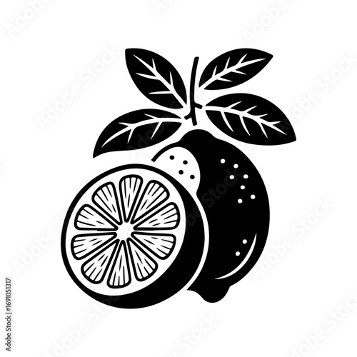 Artistic black and white line art style citrus fruit lemon slice and whole fruit with leaves isolated vector