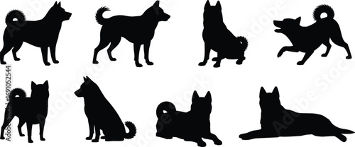 Black dog silhouettes in various poses, standing, sitting, playing, and lying down, isolated animal vector illustrations for pet design, decoration, artwork