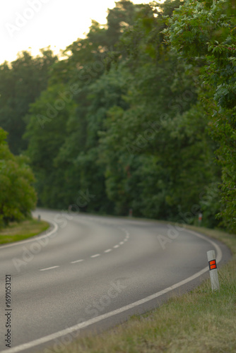 A scenic view of a winding road nestled among vibrant green trees, perfect for capturing the essence of nature and tranquility.