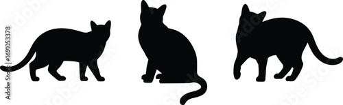 Cat silhouette vector illustration, domestic pet design, black feline artwork, sitting cat, walking cat, animal icon, kitty symbol, minimalist cat graphic, decoration