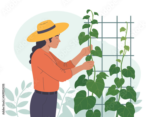 Woman Gardening Nurturing Vines on a Trellis in a Sunny Garden