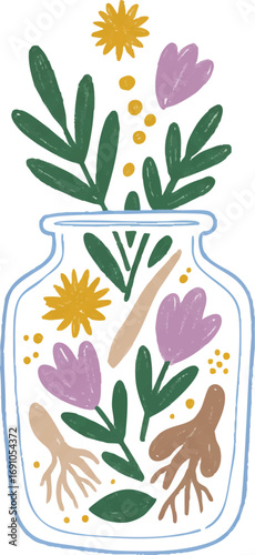 Natural Herbal Remedies and Botanical Extracts in Jar Vector
