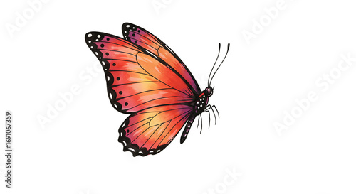 Vibrant Orange and Pink Butterfly Illustration with Glowing Effect png clear alpha channel cutout isolated on transparent background