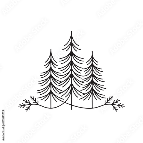 Elegant black line art of three stylized evergreen trees.This simple, elegant line drawing showcases three stylized evergreen trees against a white background.