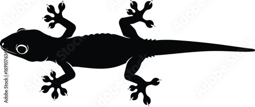 Black gecko silhouette vector illustration with detailed limbs and tail, reptile animal design for wildlife, nature, and tropical art concepts