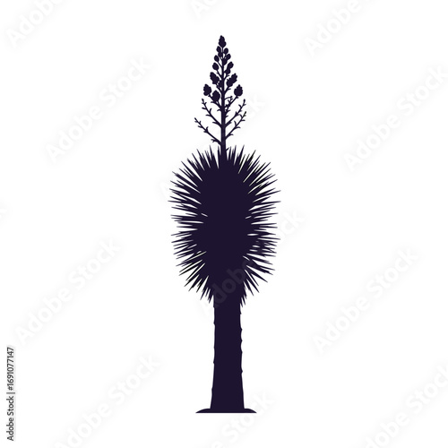 Silhouette of a tall plant with a bushy base and a spiky top growing in a desert landscape