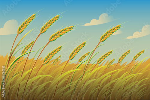 The wheat fields were bright and the wheat was blowing with the wind
