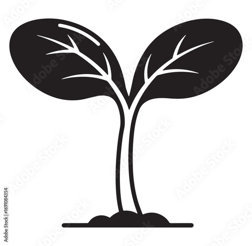 Black and white illustration of a sprouting plant depicting growth and beginnings in nature