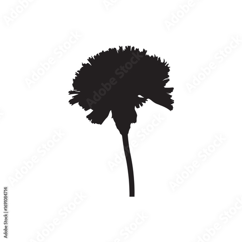 Carnation Vector (3).eps