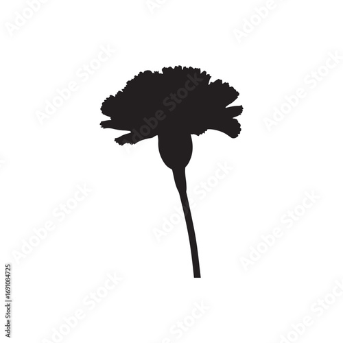 Carnation Vector (4).eps