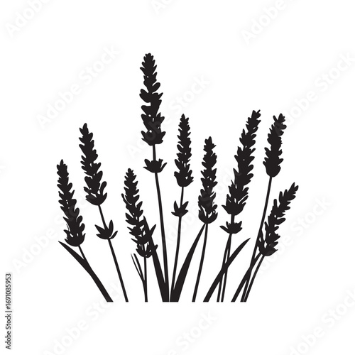Lavender Vector (4).eps