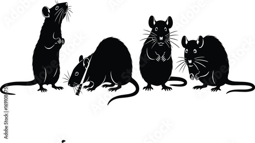 Vector illustration of four black rats in different poses, detailed rodent silhouettes showing natural behavior and body postures.