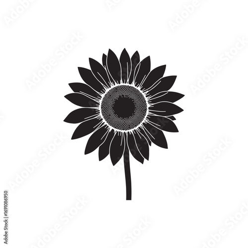 Sunflower Vector (1).eps
