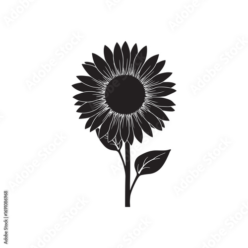 Sunflower Vector (2).eps