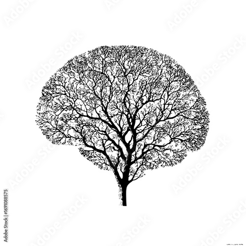 A sketch of a large tree with dense foliage and intricate branch details in monochrome art style design
