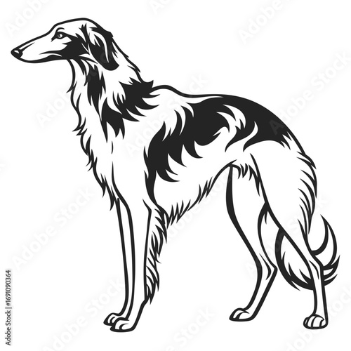 Elegant borzoi dog silhouette standing profile view