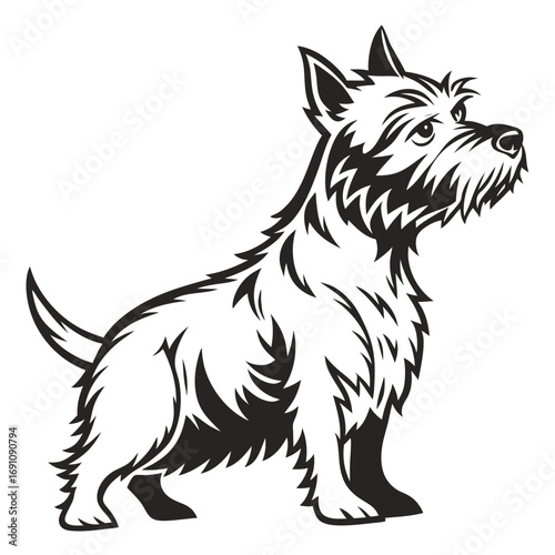 Stylized black and white illustration of a west highland white terrier dog