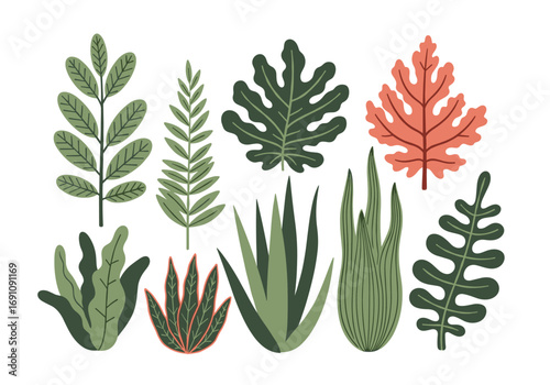 A colorful collection of various tropical plant leaves and succulents arranged artistically