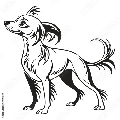 Stylized black and white illustration of a small dog with flowing fur