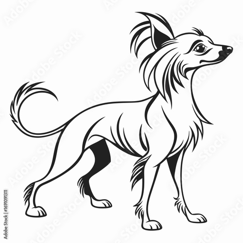 Stylized black and white illustration of a chinese crested dog