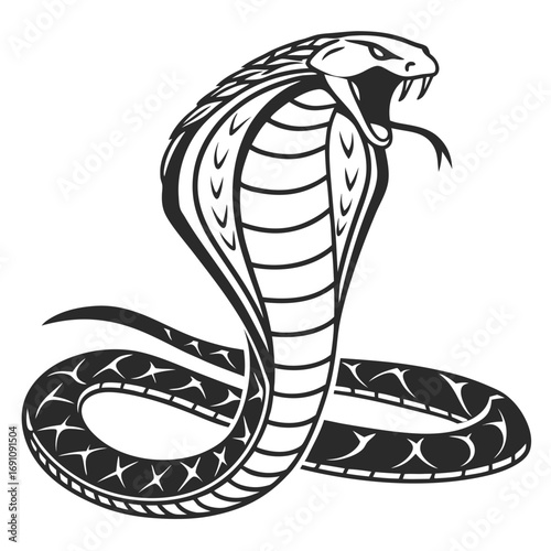 Stylized cobra snake illustration with open mouth and fangs