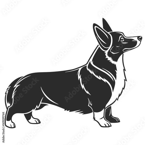 Stylized black and white illustration of a pembroke welsh corgi dog standing