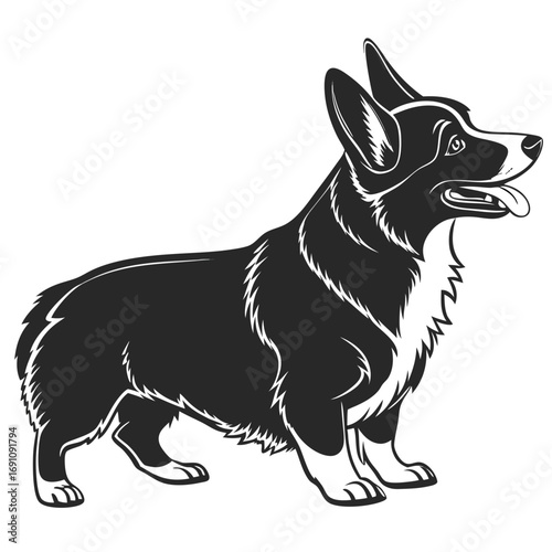 Black and white silhouette of a pembroke welsh corgi dog