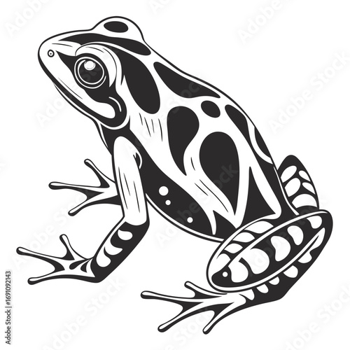 Stylized black and white poison dart frog illustration