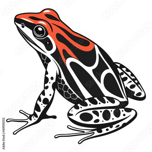 Stylized frog illustration with tribal patterns and orange accents