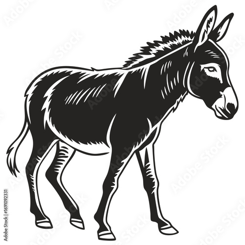 Black and white illustration of a donkey in profile