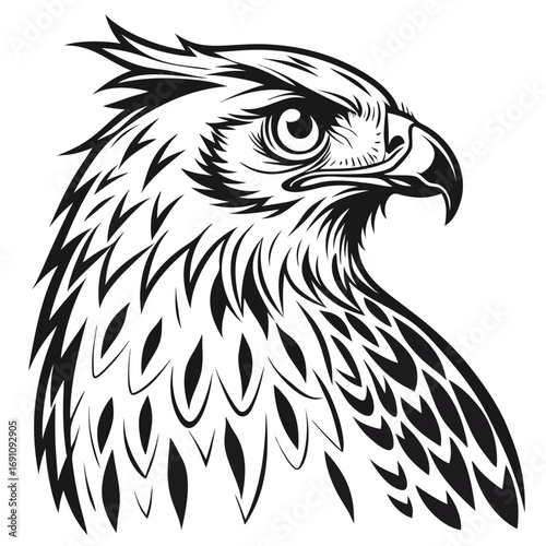 Stylized black and white eagle head illustration