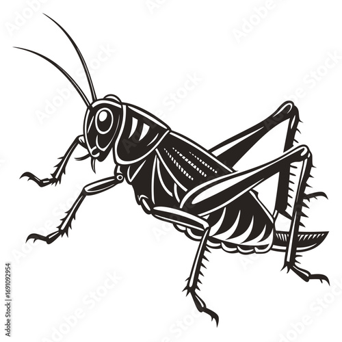 Black and white illustration of a cricket insect on a white background