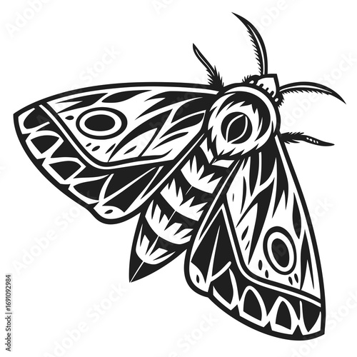 Tribal style black and white moth illustration with intricate patterns