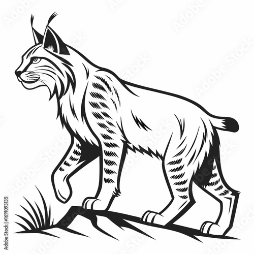 Stylized black and white illustration of a walking lynx on rocks