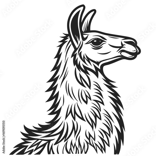Stylized black and white illustration of a llama head and neck