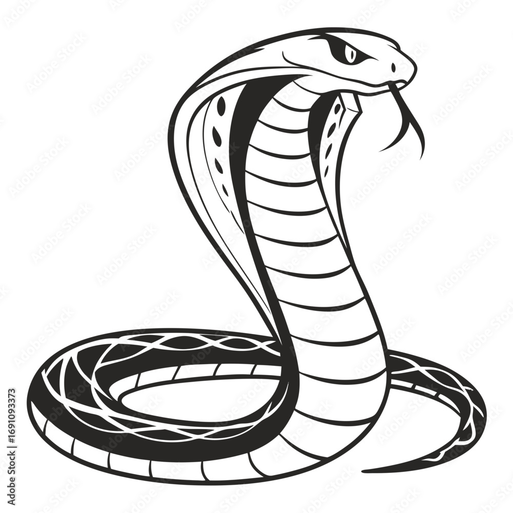 Fototapeta premium Stylized black and white cobra snake illustration