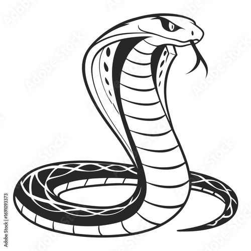Stylized black and white cobra snake illustration