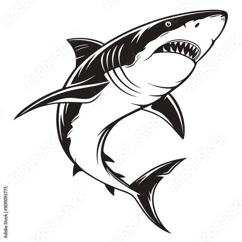 Aggressive great white shark illustration with open mouth and sharp teeth