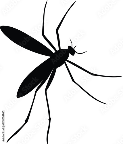 Stylized Silhouette of a Mosquito with Detailed Wings on White Background insect