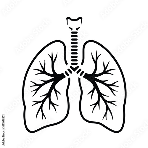 Black and white vector of human lungs in clean medical outline style for anatomy, healthcare, and respiratory system graphics