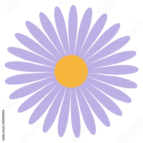 Purple daisy flower illustration with many petals and yellow center on white background