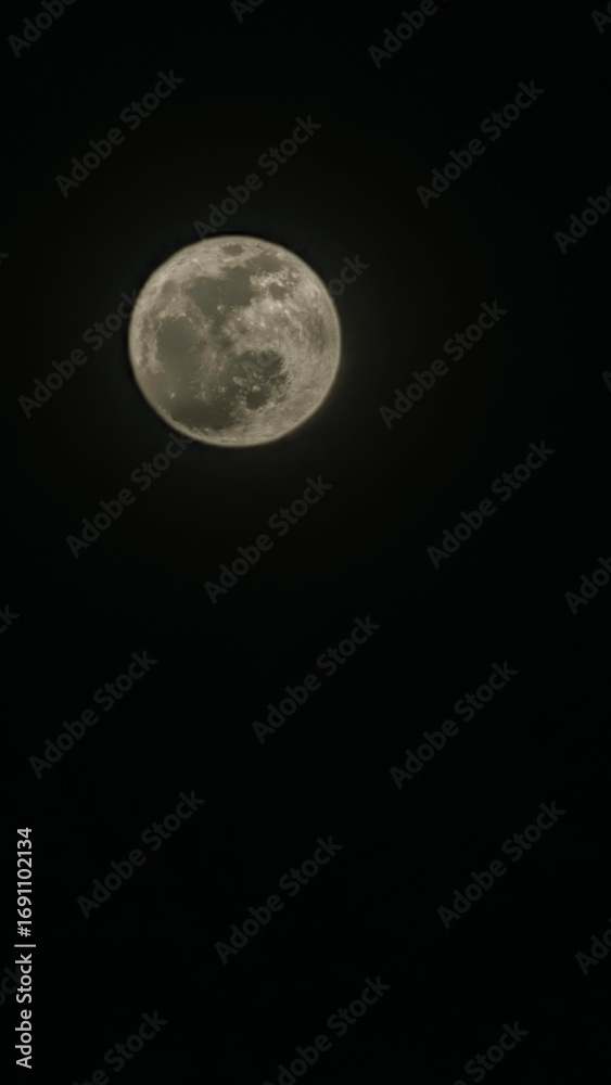Fototapeta premium beautiful moon night.