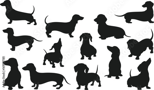 Dachshund dog silhouette vector illustration set, black pet icons, sausage dog graphic design for animal lovers, puppy decoration, breed symbol