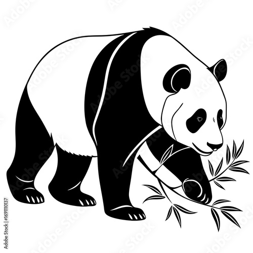 Black and White Panda with Bamboo Illustration.