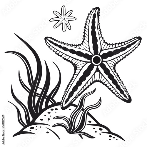 Black and White Starfish and Underwater Seaweed Illustration.