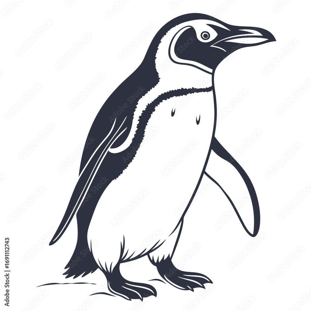 Fototapeta premium Stylized Penguin Vector Illustration.