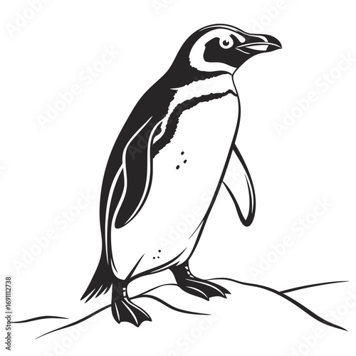 Stylized Penguin Black and White Vector Illustration.