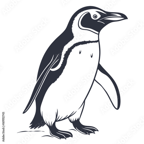 Stylized Penguin Vector Illustration.