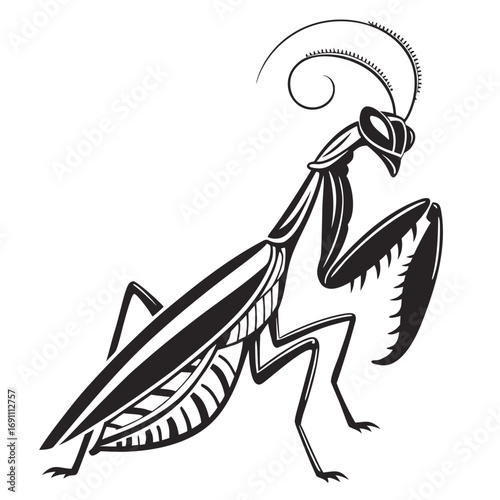 Stylized Praying Mantis Vector Illustration.